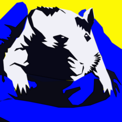Le rat sur la corde